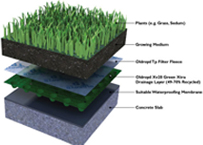 Green Roof Layers